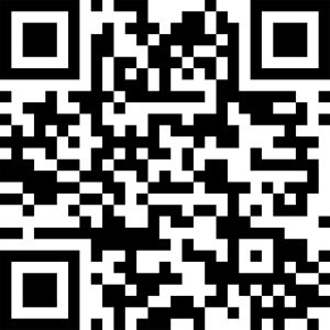 qr play-store